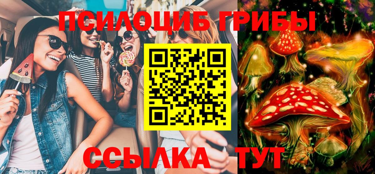 Псилоцибиновые грибы GOLDEN TEACHER Донецк